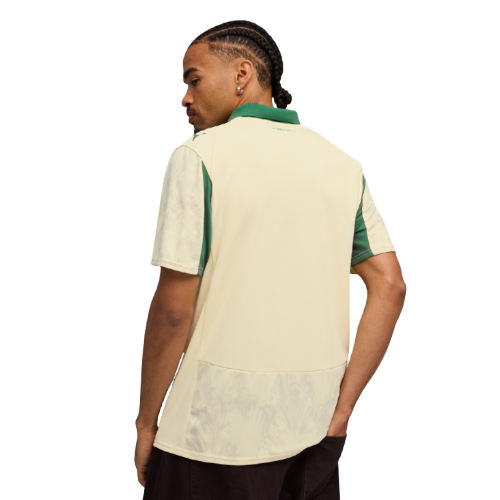 Camiseta Palmeiras 25/26 Edición Especial I - Versión Aficionado